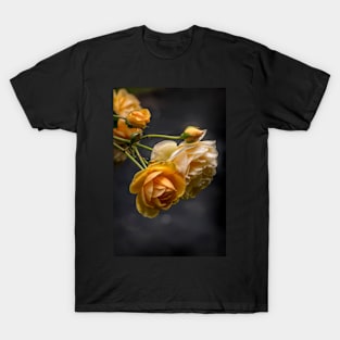 Yellow Roses T-Shirt